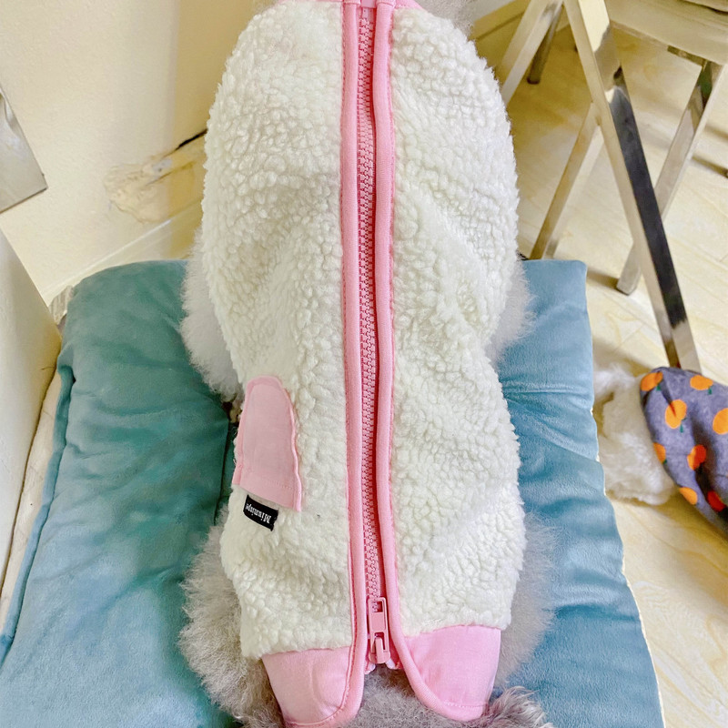 Oblečenie pre domáce zvieratá, jeseň/zima, stredne veľký, malý pes, bunda na zips, módna vesta, teplá vlnená vesta, mačiatko, šteňa, pekný kabát, čivava, yorkshirský štýl