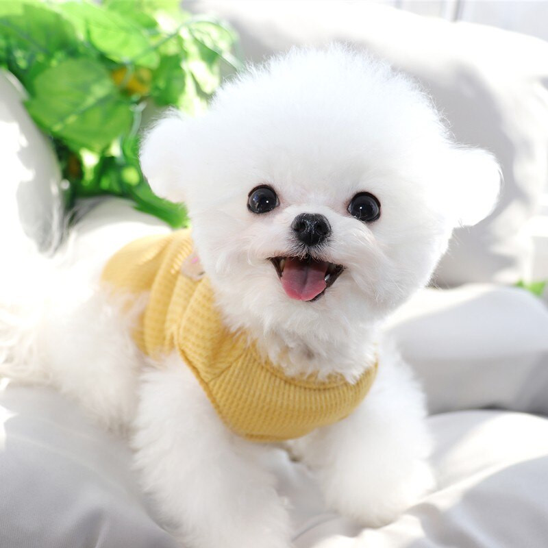 Letné oblečenie pre psov s vaflovou potlačou, roztomilé psy, vesta pre psov, tenké oblečenie pre malých psov a mačky, šteniatko, francúzsky buldoček, čivava, roupe perro