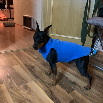 Μαλακά ρούχα για σκύλους Γιλέκο χειμωνιάτικα ρούχα για κατοικίδια Ζεστά φλις μπουφάν για κουτάβι Γαλλικό παλτό μπουλντόγκ για μικρούς μεσαίους σκύλους Ρούχα για γάτες