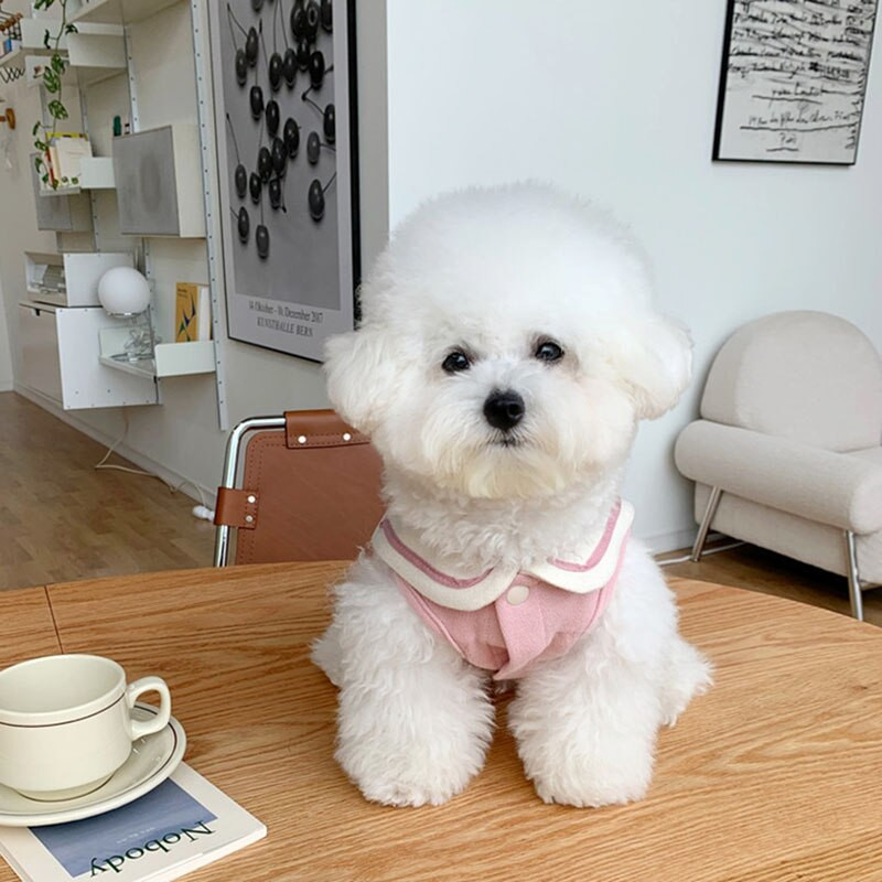 Tamnoplavi prsluk s ogrlicom za kućne ljubimce Pamuk Ljetna tanka odjeća za pse Štene mačke Chihuahua Yorkshire Odjeća za male pse