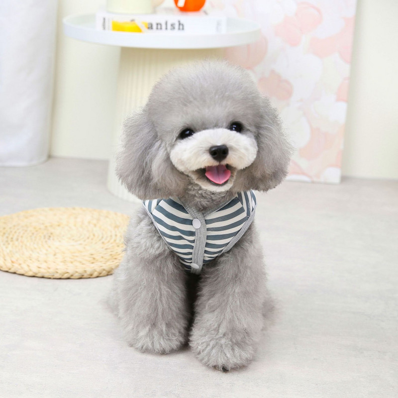Vestă din bumbac pentru câini de talie mică, haină groasă și caldă, toamnă iarnă, confortabilă, moale, pisicuță, haine pentru cățeluș, jachetă pentru pisici, pulover în dungi, pug