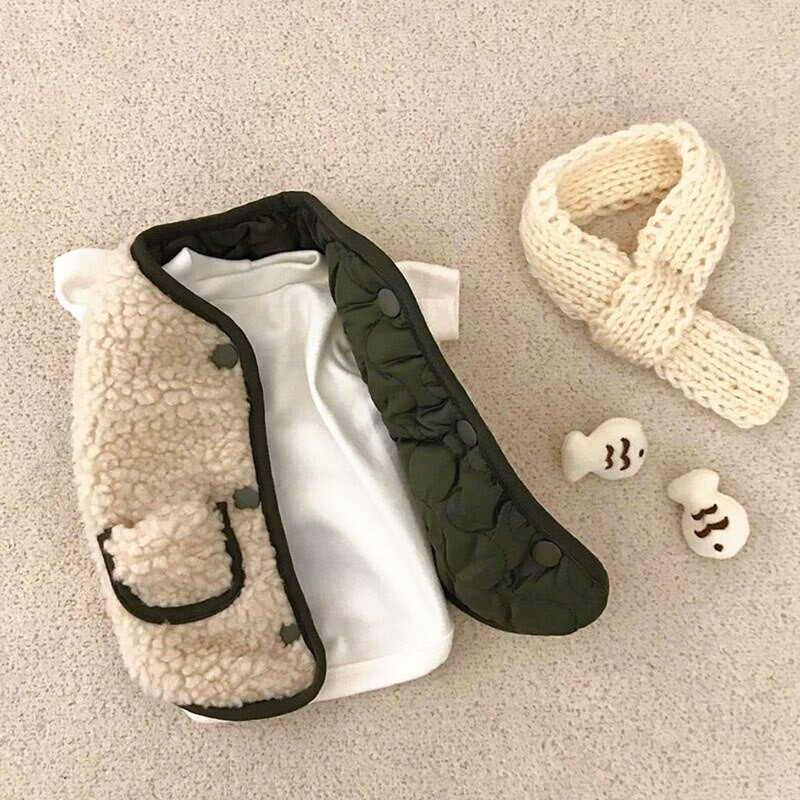 Talvised koerriided velvetist plüüsmantel Saada sall Paksendatud lemmiklooma puuvillased riided väikesele keskmisele kutsikale Chihuahua Yorkshire