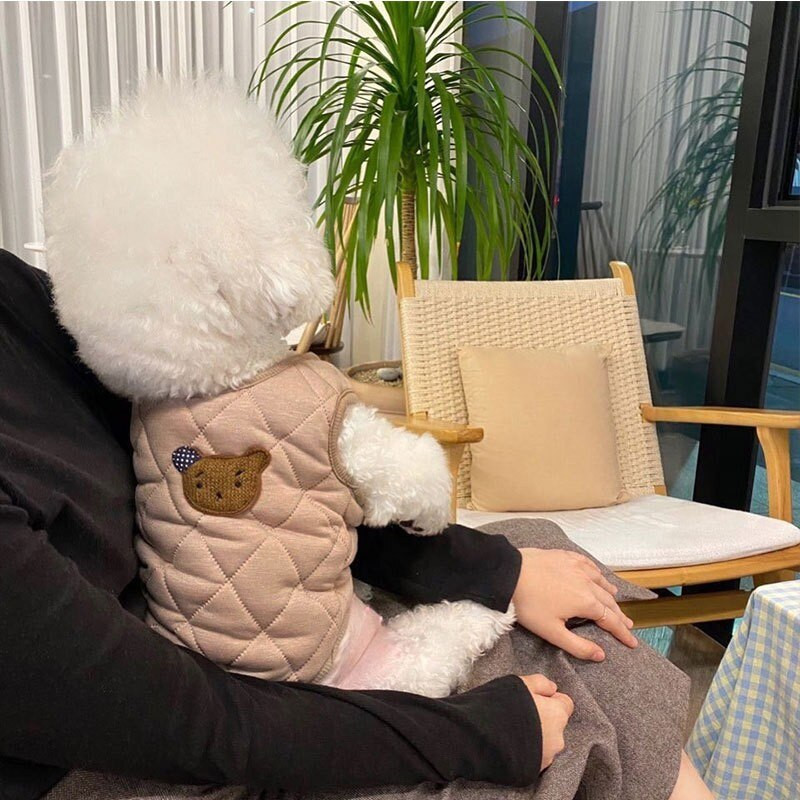 Haine de iarnă pentru animale de companie Manta pentru câini Vestă din bumbac Lingge pentru câini de talie mică, urs dulce, câini, jachetă, haine Yorkshire pug, Ropa Perro