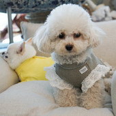 Νέο μπλουζάκι με δαντέλα βάφλα για σκύλους Schnauzer Ζεστά ρούχα για κατοικίδια Καλοκαιρινά ρούχα για κατοικίδια Επώνυμα ρούχα για σκύλους Ρούχα για κουτάβια