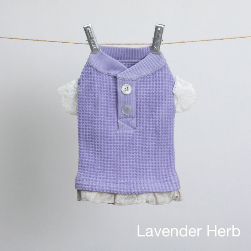 Νέο μπλουζάκι με δαντέλα βάφλα για σκύλους Schnauzer Ζεστά ρούχα για κατοικίδια Καλοκαιρινά ρούχα για κατοικίδια Επώνυμα ρούχα για σκύλους Ρούχα για κουτάβια