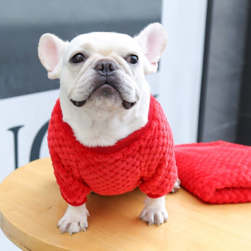 Karu tikandid Lemmiklooma koera vest Soojad koerariided väikestele koertele Palus kutsika kassi mantel Yorkies Chihuahua Shih Tzu mops koerariided