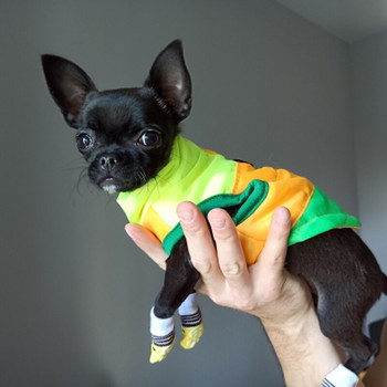 Νέα ζεστά ρούχα για κατοικίδια για σκύλους Ρούχα για παλτό σκύλου Χειμερινό μπουφάν για κουτάβι Ρούχα κατοικίδιων για σκύλους Στολή Chihuahua Yorkshire