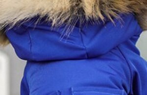 Kožušinová bunda pre psov Teplá zimná bunda Páperová bunda Oblečenie pre psov pre malé domáce zvieratá B927