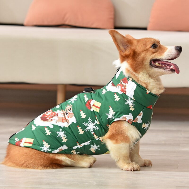 Kutyaruhák Téli Corgi Chihuahua Labrador Meleg Ruházat Kisállatkabát Kabát Vízálló ropa para Perros Kis Közepes Kutyaruhák