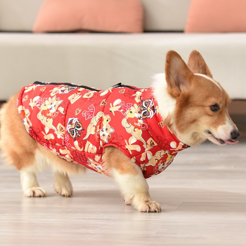 Kutyaruhák Téli Corgi Chihuahua Labrador Meleg Ruházat Kisállatkabát Kabát Vízálló ropa para Perros Kis Közepes Kutyaruhák