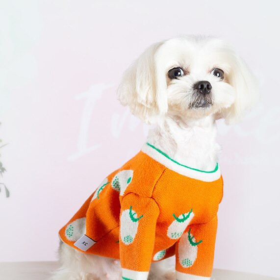 Jesen Zima Crtani Narančasta pletena odjeća za kućne ljubimce Mali srednji psi i mačke Upečatljiva boja Valoviti rub Topla odjeća Odjeća za mačke