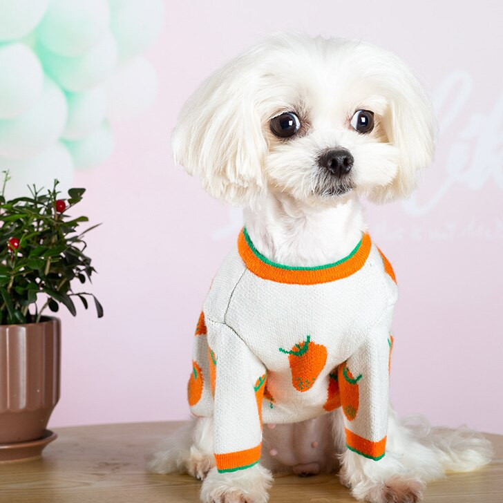 Jesen Zima Crtani Narančasta pletena odjeća za kućne ljubimce Mali srednji psi i mačke Upečatljiva boja Valoviti rub Topla odjeća Odjeća za mačke