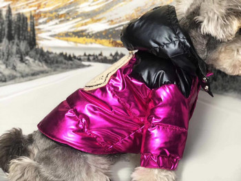 Ζεστά χειμωνιάτικα ρούχα για σκύλους πουπουλένια μπουφάν για κατοικίδια Κουτάβι Στολή γαλλικού μπουλντόγκ Αδιάβροχο μπουφάν Chihuahua Ρούχα B1000