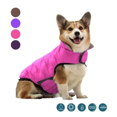 Francia Bulldog Corgi Kutyaruházat Kabát Háziállatruházat Téli kiskutya macskaruházat Kabát kis, nagy kutyáknak Macskák mellény Ropa Perro