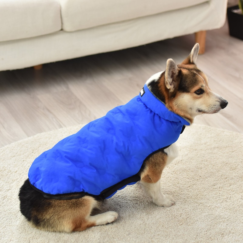 Francia Bulldog Corgi Kutyaruházat Kabát Háziállatruházat Téli kiskutya macskaruházat Kabát kis, nagy kutyáknak Macskák mellény Ropa Perro