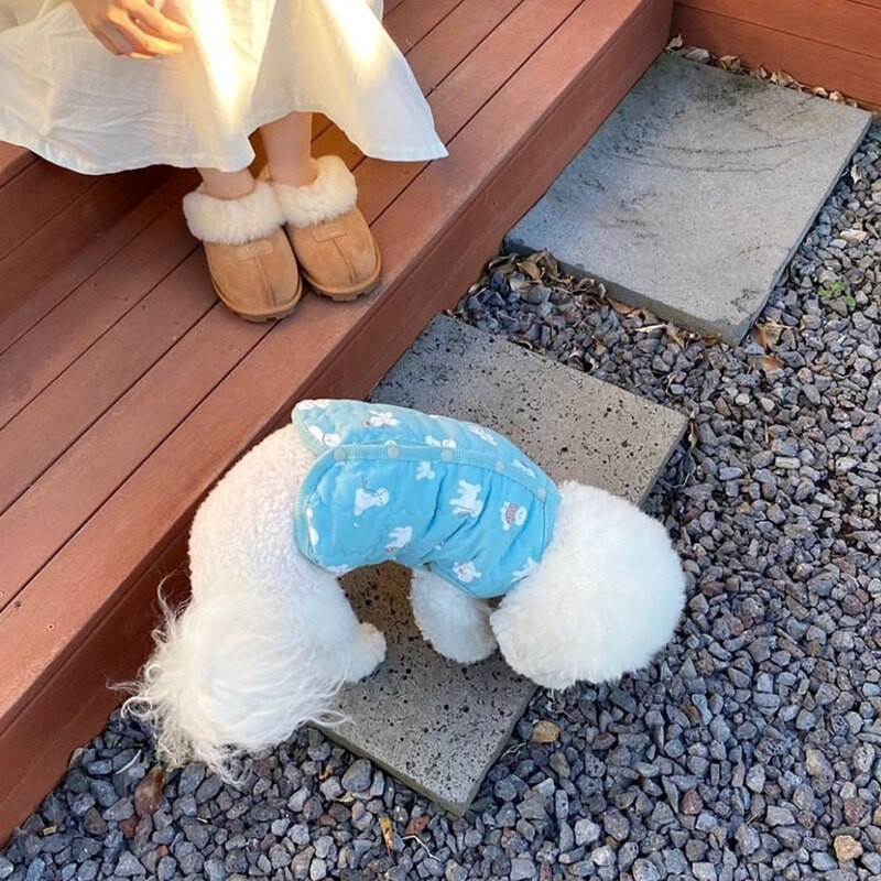 Дрехи за кучета с животински принт Дрехи за домашни любимци Памучни дрехи Есенни и зимни дрехи Отворена риза с померан Плюшено мече Топли дрехи с два крака