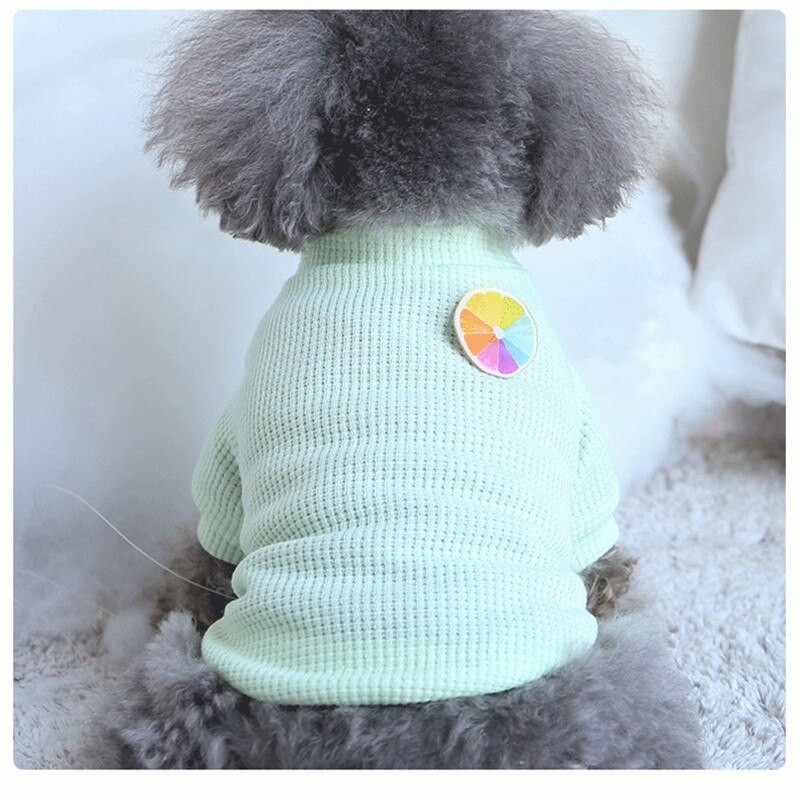 Kutya mellény Kisállat Kutya Ruhák Macska Tömör póló Ruházat Kutyák Vékony Kis Divat Chihuahua Nyári Légáteresztő Lány Mopsz Kisállat Mellény York