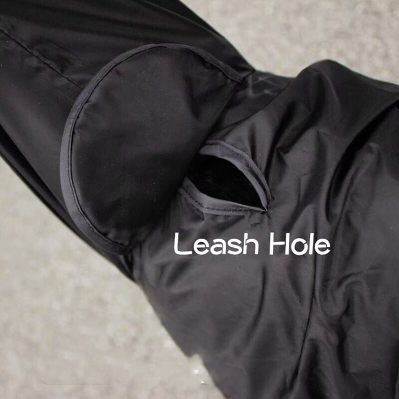 Veekindel koerte vihmamantel Jumpsuit keskmise suurusega koertele.