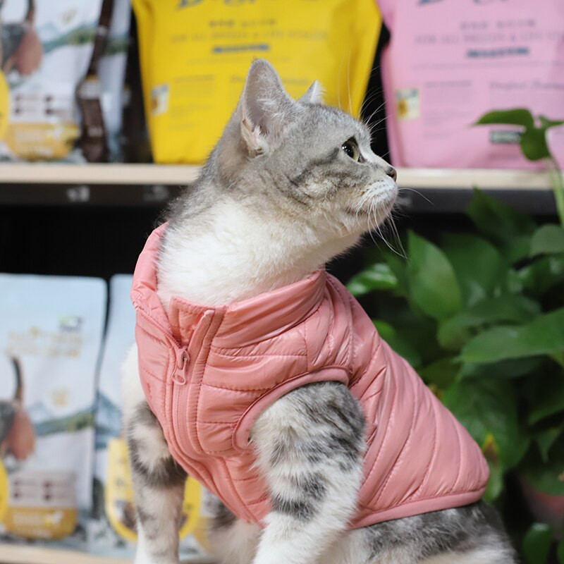 Neperšlampama šunų pūkinė striukė Žieminiai šilti šuniuko drabužiai mažiems šunims Neperšlampami naminių gyvūnėlių paltai šuniukų katės liemenės apranga Drabužiai, kostiumai