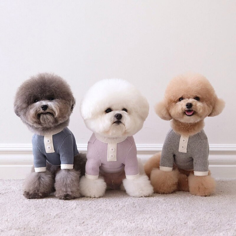 Kutya póló Tavaszi őszi kisállat póló macska kiskutya ruhák chihuahua ruházat póló pizsama Yorkie pomerániai kutyus jelmezek