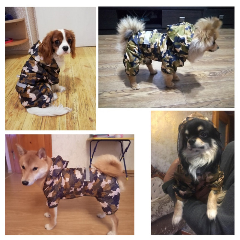 Lemmiklooma koera vihmamantel riided kutsika vabaaja kassi vihmamantel Veekindel jope õues vihmariided kapuuts Rõivad Jumpsuit Lemmikloomatarbed