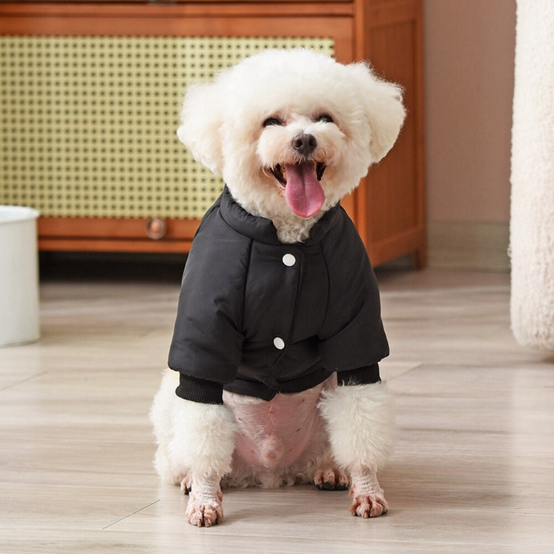 Χειμερινά ενδύματα σκυλιών για μικρά σκυλιά Αντιανεμικό τζάκετ Dog Down Color Blocking Ζεστό παλτό σκυλιών Μπουφάν με επένδυση Chihuahua Ρούχα