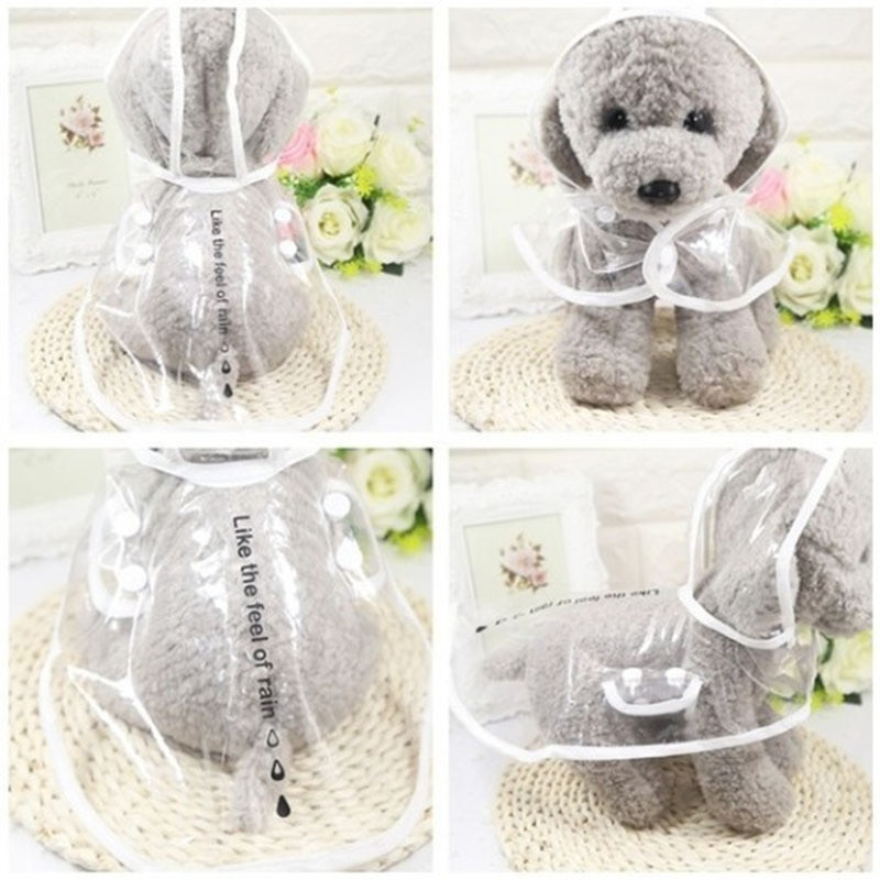 Neperšlampamas ir madingas PU skaidrus lietpaltis naminiams gyvūnėliams mažiems ir vidutinio dydžio šunims dvikojų šunų naujas kačių lietpaltis