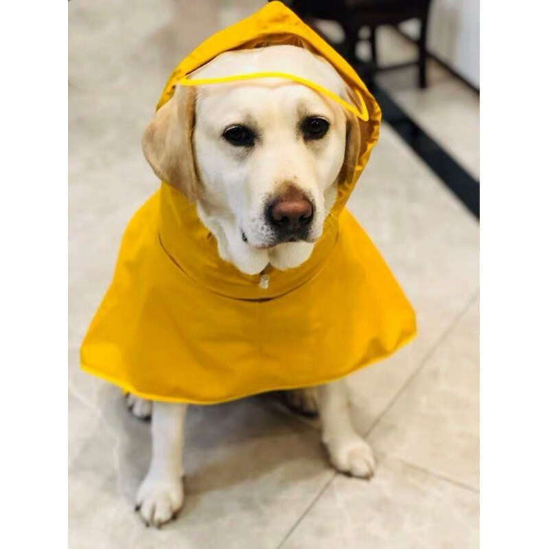 Pelernă de ploaie pentru câini mici, mijlocii mari, jachetă impermeabilă, haine de ploaie, corgi husky, schnauzer, pug, labrador, CTC01