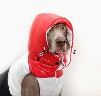 Μπουφάν Dog Dog 95% White Feather Ζεστό παλτό για Puppy Samll κατοικίδια B1102