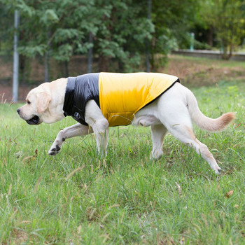 Малко средно голямо яке за домашни кучета Зимни топли дрехи за кучета за лабрадор Водоустойчиво палто за големи кучета Чихуахуа Облекло за френски булдог