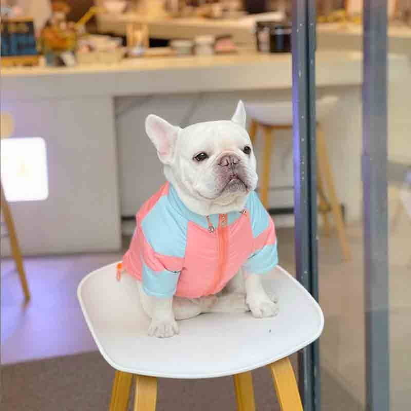 Pas Podstavljena odjeća Metoda Fighting Mops Šnaucer Zimska odjeća Shiba Inu Bichon Podstavljen zimski kaput Topao i debeo