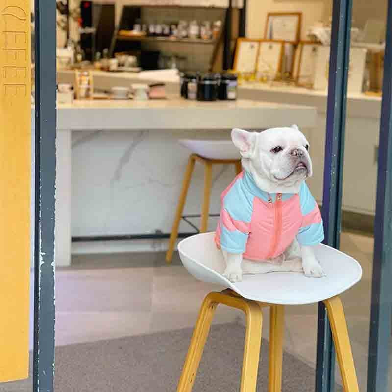 Pas Podstavljena odjeća Metoda Fighting Mops Šnaucer Zimska odjeća Shiba Inu Bichon Podstavljen zimski kaput Topao i debeo