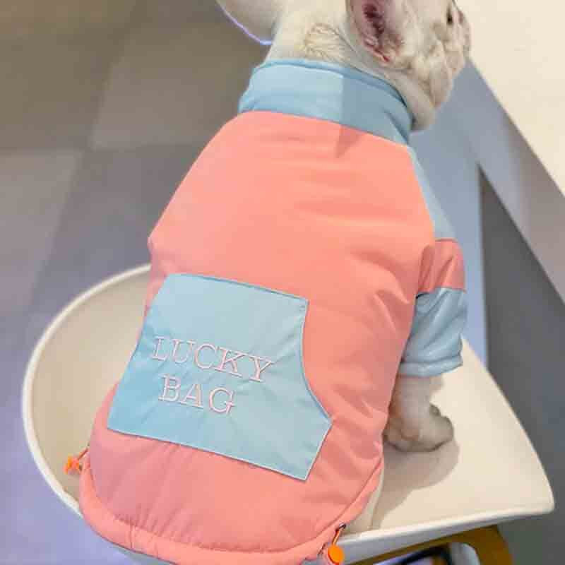 Pas Podstavljena odjeća Metoda Fighting Mops Šnaucer Zimska odjeća Shiba Inu Bichon Podstavljen zimski kaput Topao i debeo