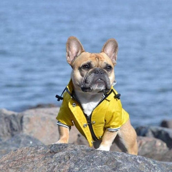 Αδιάβροχο παλτό για σκύλους για κατοικίδια Αδιάβροχο κίτρινο αδιάβροχο για σκύλους για γαλλικό μπουλντόγκ Ρετρό Ρούχα για κουτάβια Ρούχα για κατοικίδια Μπουφάν ropa perro