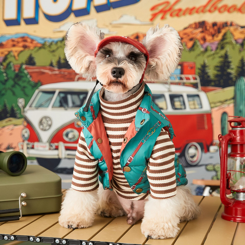 Őszi téli kutyaruhák pehelymellény Ujjatlan meleg kabát dzseki divatnyomtatott pehelykabát Kis közepes kutya kisállatruhák