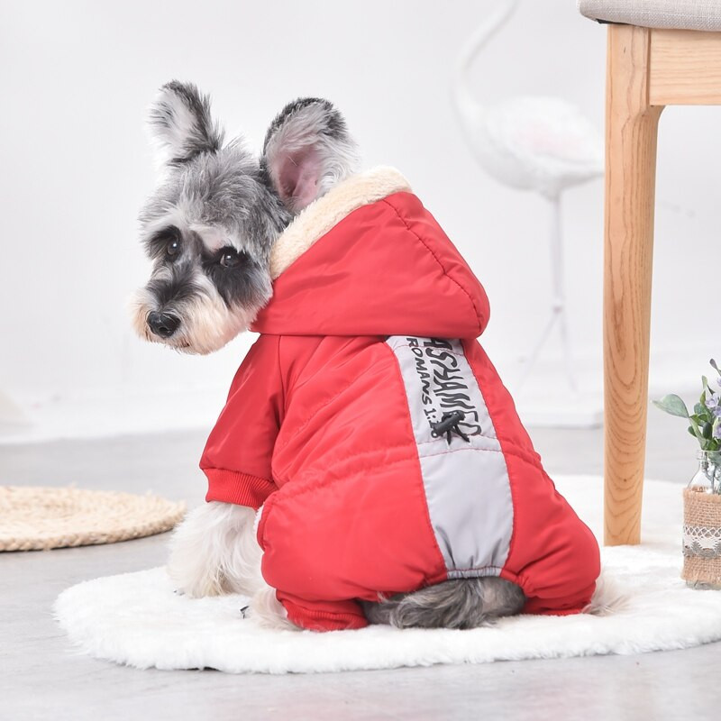 Neperšlampami šunų pūkiniai parkai stori rūbai mažiems šuniukams Yorkie mopsai nuo vėjo su gobtuvu striukė S XXL Pet Cat kombinezonas