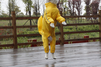 Μεγάλο μπουφάν αδιάβροχο σκύλου αδιάβροχο πολυεστέρα ασφαλείας ανακλαστικό ρίγες για Golden Retriever Labrador Husky 8XL-12XL