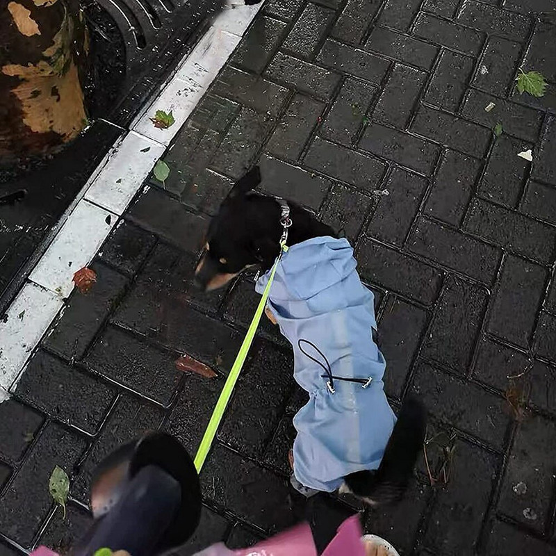 Pelernă de ploaie pentru câini, cu uscare rapidă, pentru animale de companie, reflectorizantă și reglabilă, jachetă de ploaie, impermeabilă și rezistentă la vânt.