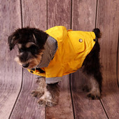 Stiilne lemmikloomade vihmariided Kerge lemmikloomade vihmajope, ühevärviline, hoiab soojas lemmikloomade koerte kapuuts Slicker