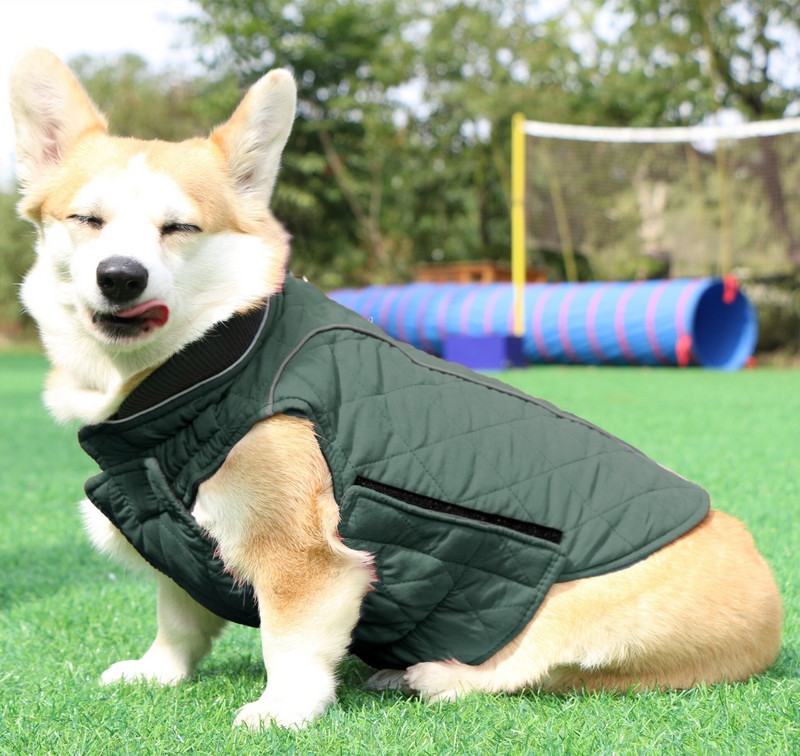 2020. aasta retrodisain Uus talvine lemmikloomamantel hubane talvekoera lemmiklooma jope vest, soe lemmikloomakomplekt tuulekindel jope väikesele keskmisele koerale