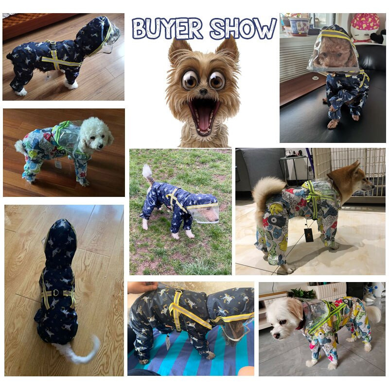HOOPET Naminių gyvūnėlių lietpaltis Čihuahua meškiukas Keturias pėdas atspindintis šuns lietpaltis Mieli neperšlampami lauko drabužiai su permatoma kepure
