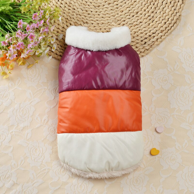 Talvine uus lemmikloomakoer Kolmevärvilised vatipolsterdatud soojad koerariided pluss sametist paks jope värviline kasukas Kutsikapargid väikesele koerale