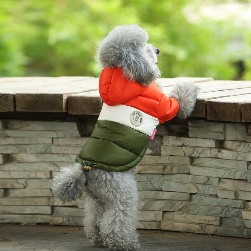 Odjeća za kućne ljubimce Odjeća za pse Zimski kaput Puhani pamučni prsluk Teddy Topli prsluk s dvije noge Odjeća za mačke