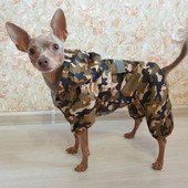 Módny pršiplášť pre psov, nepremokavý pršiplášť pre šteniatka, reflexný pršiplášť s kapucňou, kostýmy pre psov, maskovacie oblečenie