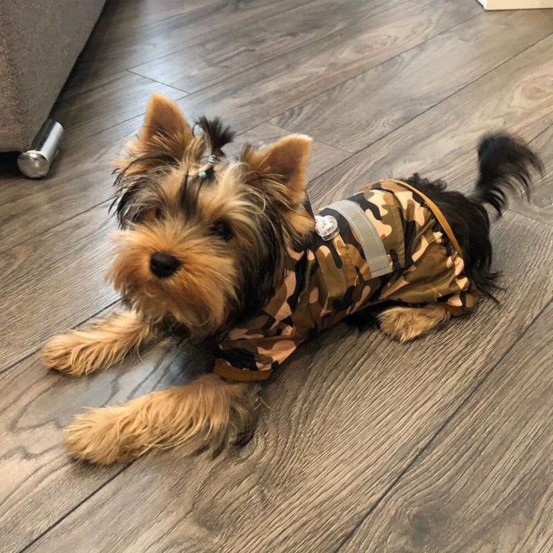 Módny pršiplášť pre psov, nepremokavý pršiplášť pre šteniatka, reflexný pršiplášť s kapucňou, kostýmy pre psov, maskovacie oblečenie