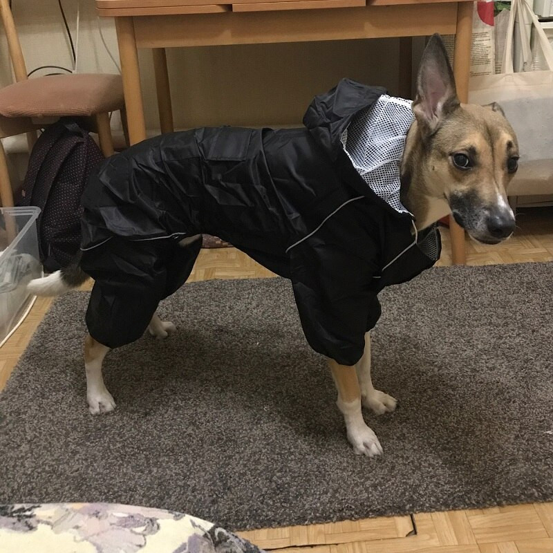 Suur koera vihmamantel veekindel õues suur koera riided mantel Vihmajope helkur keskmine suur suur koera pontšo hingav võrk