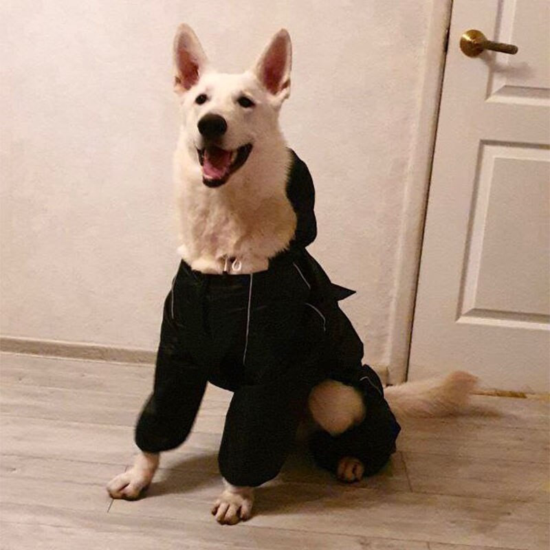 Suur koera vihmamantel veekindel õues suur koera riided mantel Vihmajope helkur keskmine suur suur koera pontšo hingav võrk