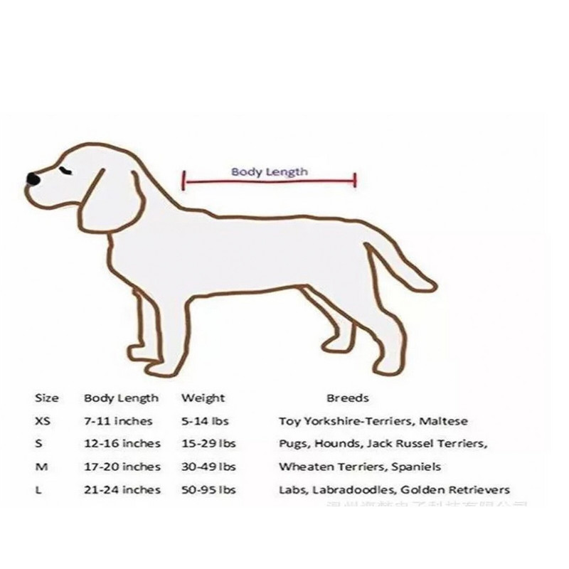 Koerakuivati Lemmiklooma koera fööni kast Fast Lihtne puhur Professionaalne tööriist Juuksed Lemmiklooma madala müratasemega pahvi ja ebeme vanni hooldamise tarvikud