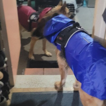 Кучешки дъждобран Водоустойчиво пончо с качулка и светлоотразителни ленти за малки, средни и големи кучета различни размери