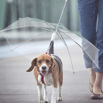 Υψηλής ποιότητας ομπρέλα κατοικίδιων ζώων Διαφανής ομπρέλα σκύλου με λουρί για προστασία από το χιόνι βροχής Προμήθειες για σκύλους κατοικίδιων ζώων
